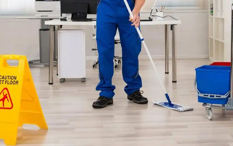 Professional Cleaning Services
